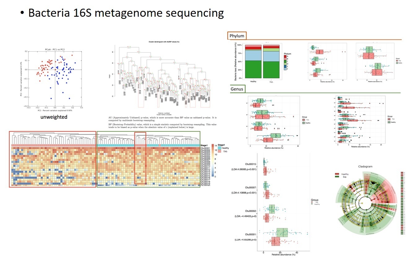 16s metagenomic analysis