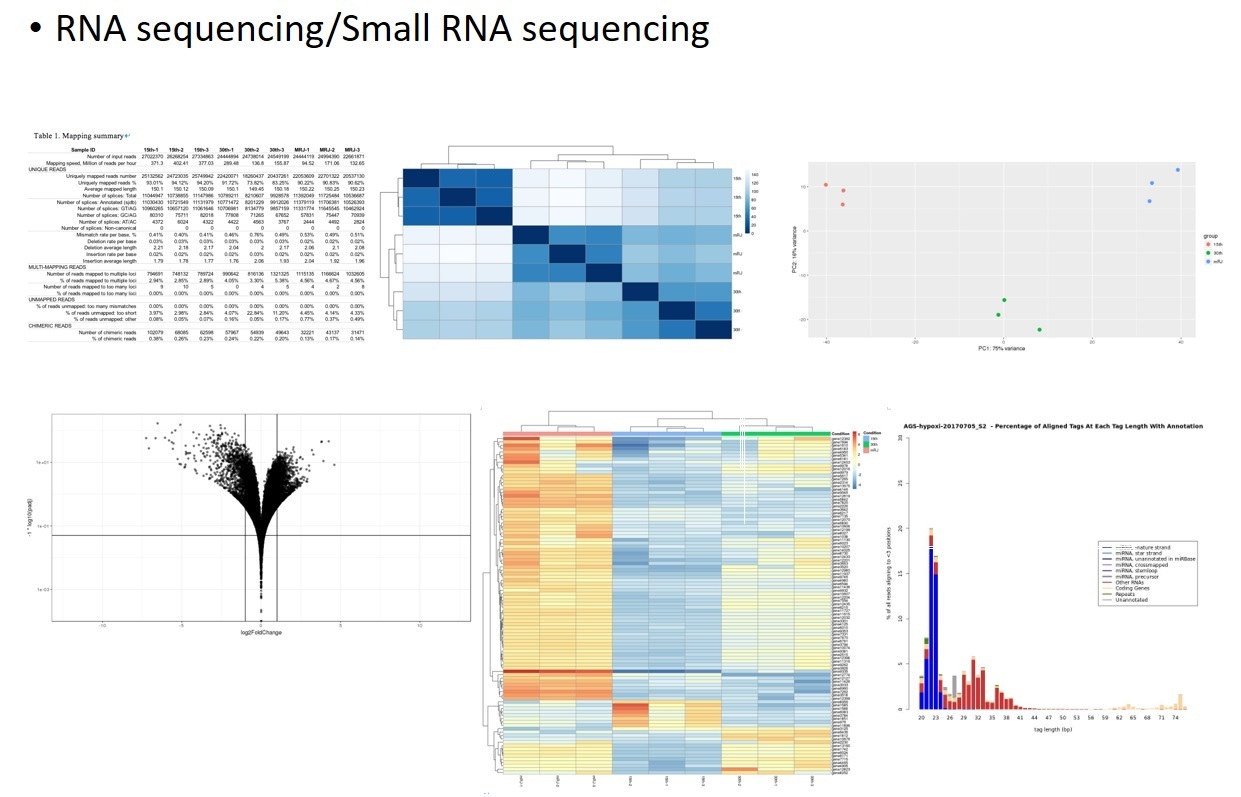 RNA-Seq Analysis